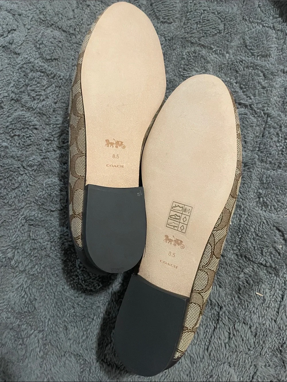 Coach Haley Khaki Signature Canvas Horsebit Loafers with Gold Hardware - Picture 5 of 6